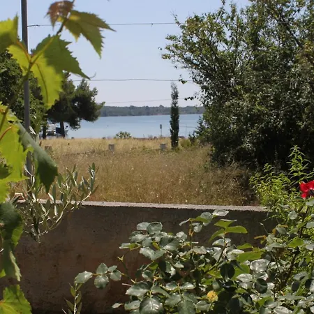 By The Sea Verunic, Dugi Otok - 8104 Apartment Veli Rat