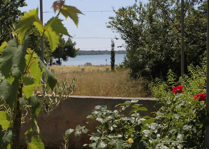 By The Sea Verunic, Dugi Otok - 8104 Apartmán Veli Rat