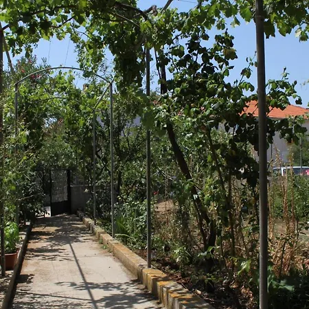 By The Sea Verunic, Dugi Otok - 8104 *