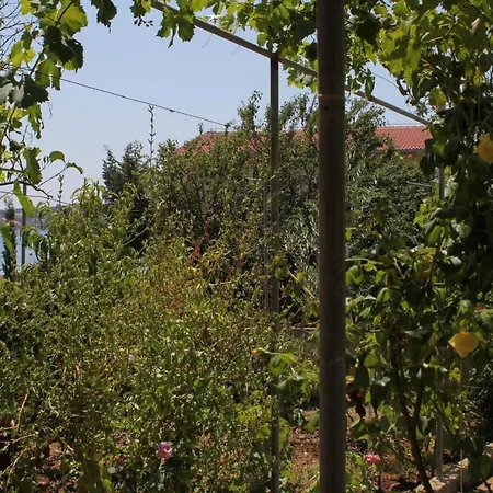 Appartement By The Sea Verunic, Dugi Otok - 8104 *