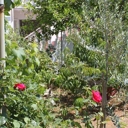 By The Sea Verunic, Dugi Otok - 8104 Appartement